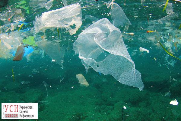 Шкода пластикових відходів для навколишнього середовища, фото: https://www