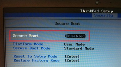 Знаходимо рядок Secure Boot і міняємо значення Enabled на Disabled