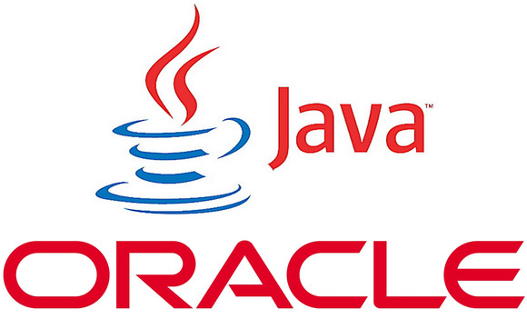 Java - це мова програмування і обчислювальна платформа, вперше випущена компанією Sun Microsystems в 1995 році